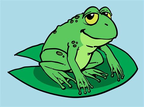 Frog On Lily Pad Drawing At Getdrawings Free Download