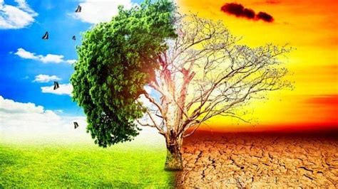 Selain daripada penyebab yang dihasilkan dari faktor di atas, ketahuilah dampak berbahaya lain dari pemanasan global seperti pembahasan di bawah ini Jelaskan Faktor Pemicu Pemanasan Global! Soal Jawaban SMP ...