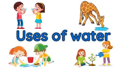 Uses Of Water Importance Of Water Water And Its Uses Uses Of