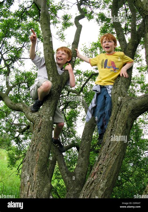 Zwei Jungen Spielen Einen Baum Klettern Stockfotografie Alamy