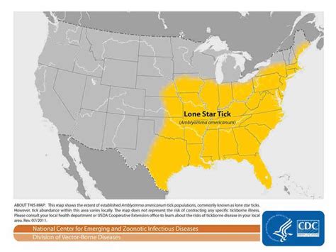Red Meat Allergies Caused By Tick Bites Are On The Rise Tick Bite