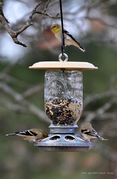 I used old canning rings and already had the string. These Upcycled DIY Bird Feeders Are the Perfect Addition to Your Backyard