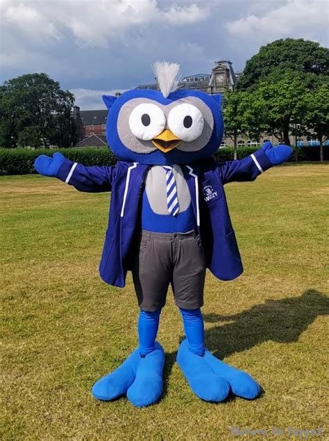 Custom Mascot Costumes Wearable Mascots Made In The Uk