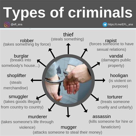 Cpi Tino Grandío Bilingual Sections Types Of Criminals