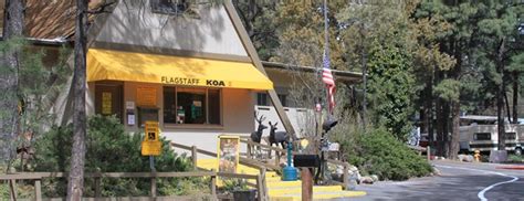 Flagstaff Koa Camping In Arizona Koa Campgrounds