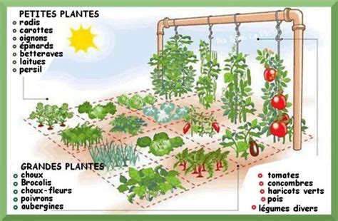 Comment créer un jardin potager sur mètre carré Huerto Huerto urbano Huerto en casa