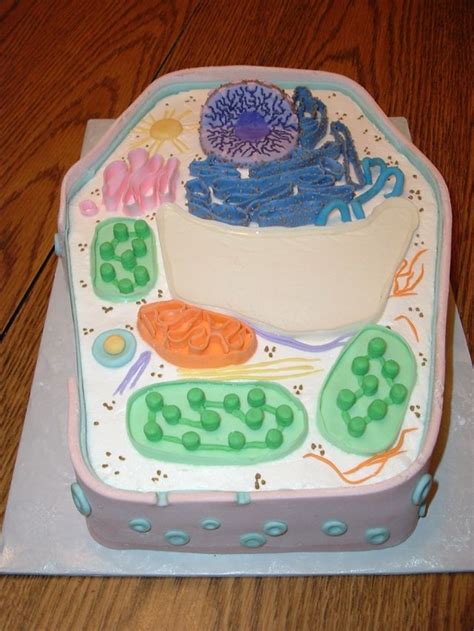 Plant Cell Cake 3 Steps With Pictures Instructables