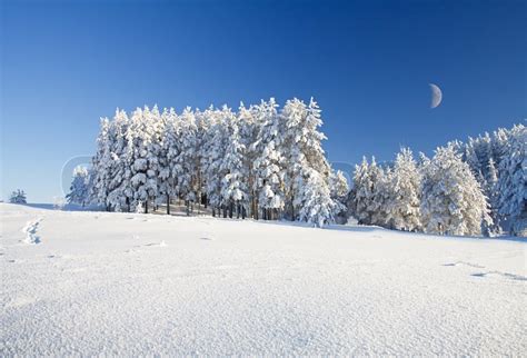 Snow Field And Forest Under Blue Sky With Crescent Stock Photo
