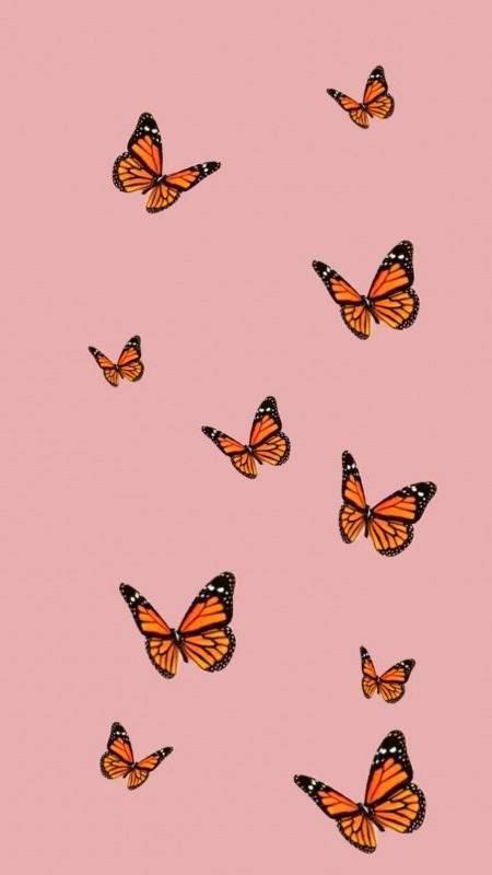 Pink Butterfly Aesthetic Wallpaper Desktop