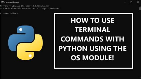 How To Use Terminalcmd Commands With Python Os Module Youtube