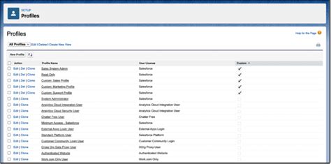 Types Of Profiles In Salesforce White Glove Consulting Group Llc