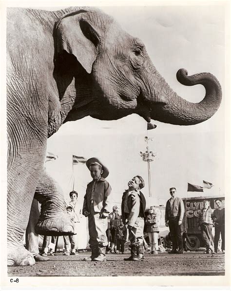 The S Ringling Bros Circus As Captured By Harry A Atwell Cvlt