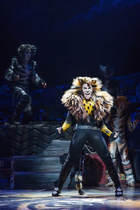 Andrew lloyd webber's adaptation of t.s. Cats Back on Broadway: Review, Photographs - New York Theater