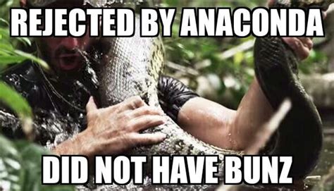 My Anaconda Don T Anaconda Discovery Channel Giant Anaconda