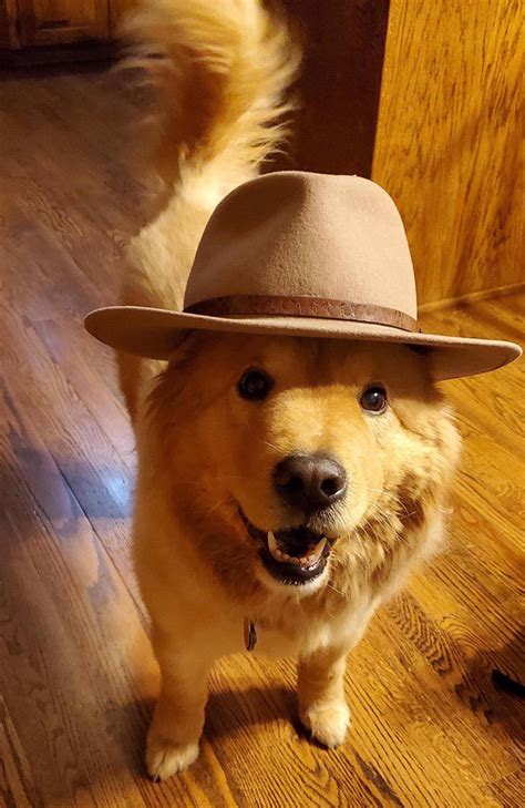 When You Find The Perfect Hat And Want To Show It Off