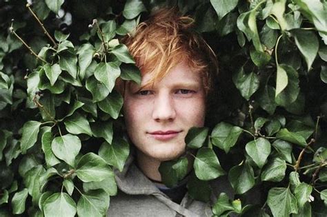 Biographie De Ed Sheeran Chanteur Britannique À Voir