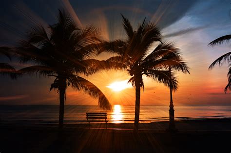 1000 Great Beach Sunset Photos · Pexels · Free Stock Photos