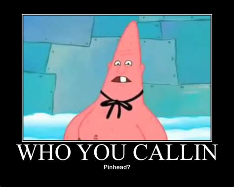 Who U Calling Pin Head Funny Spongebob Memes Cartoon Memes My Xxx Hot