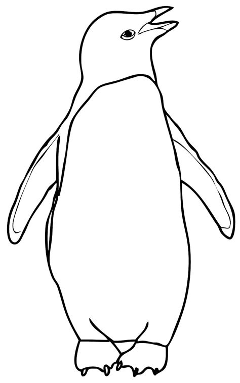 Desenhos De Pinguim Para Colorir Pop Lembrancinhas