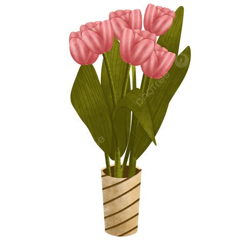 Flor De Tulipán Rosa En Cerámica Png Tulipanes Rosados Flor De