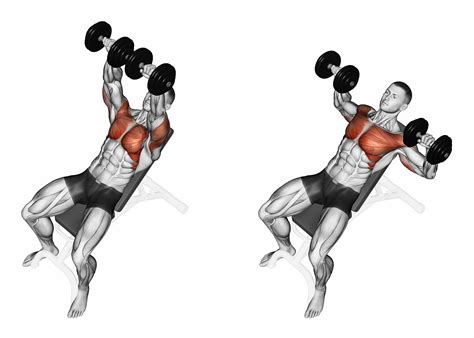 While you're more than welcome to perform the incline press move itself is nearly identical to that of a bench press. Dumbbell bench press while lying on an incline bench ...