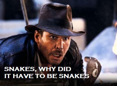 Indiana jones and the raiders of the lost ark (1981) harrison ford as indy. indiana jones quotes - Google Search | Classic Movies and ...