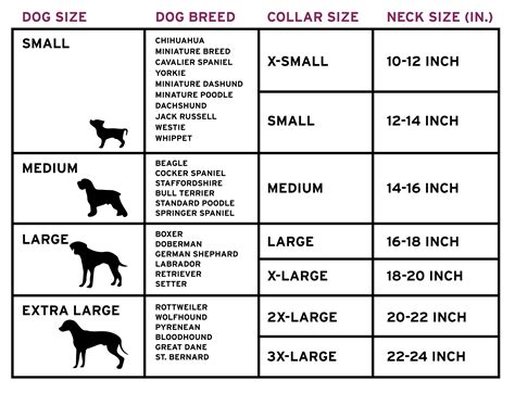 Puppy Collar Size Chart Heres A Handy Dog Weight Chart For The