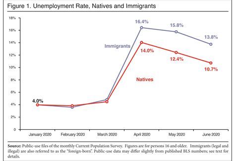 The Employment Situation Of Immigrants And Natives In June 2020
