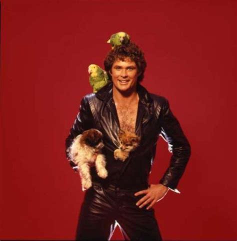 Just David Hasselhoff With Some Puppies Vintage Everyday Fotografía