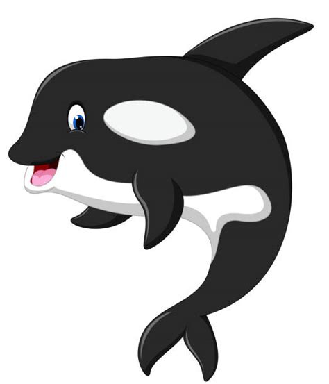Whale Jumping Out Of Water Clip Art Illustrations Royalty Free Vector