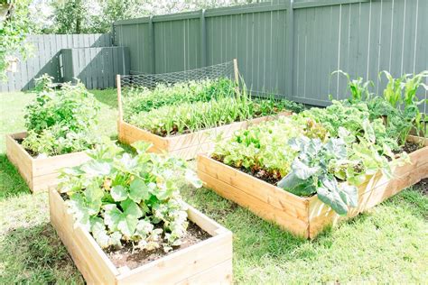Mar 10, 2021 · building a simple raised 4x4 garden bed. How to Build your own DIY Raised Garden Bed | Garden beds, Raised garden beds, Small space gardening