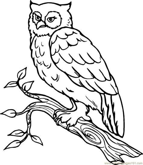 Cartoon Snowy Owl Coloring Home