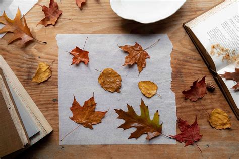 7 Things To Do With Fall Leaves