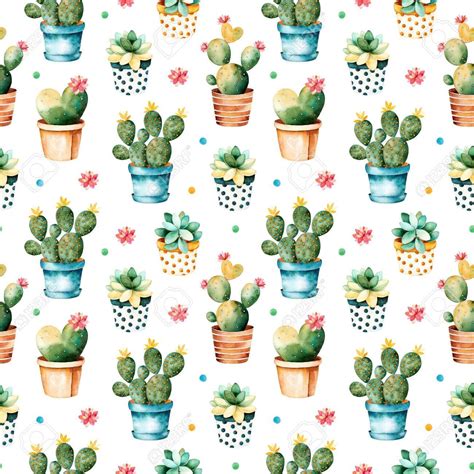 Cactus And Succulents Wallpaper Hd