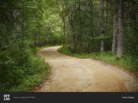 Empty Winding Dirt Road Through Forest Stock Photo Offset