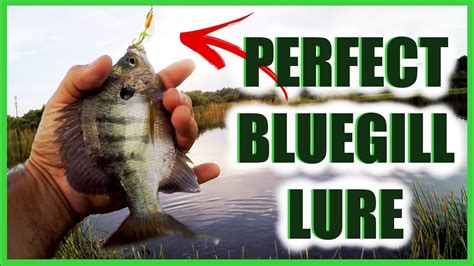 Lure Good For Catching Panfish Bream The Best Lure For Catching