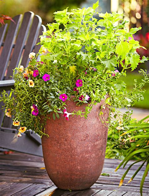 Container Gardens Just Right For The Midwest Midwest Living
