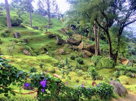 Bukit Larut Is An Undiscovered Genting Highlands Just A 1 Hour Flight