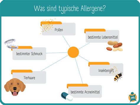 Allergien Ihre Apotheke Informiert über Krankheiten