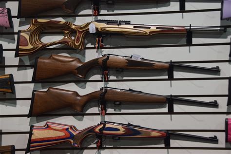 Gaos Keystone Sporting Arms Crickett Precision Rifle The Firearm Blog