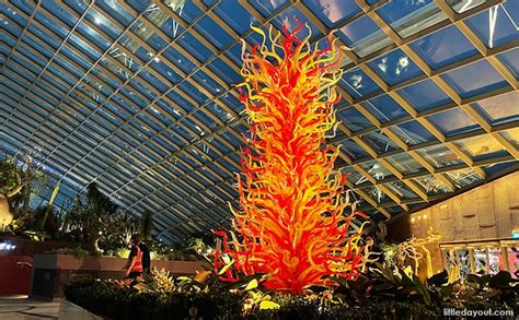 Must See Exhibits At Dale Chihuly Glass In Bloom At Gardens By The Bay