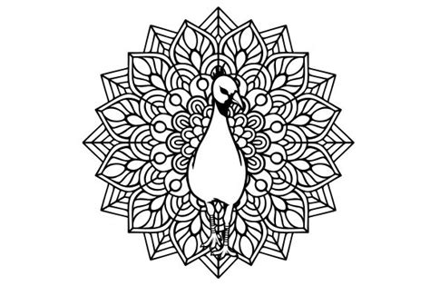 Peacock Mandala Line Art Style Svg Cut File By Creative Fabrica Crafts · Creative Fabrica