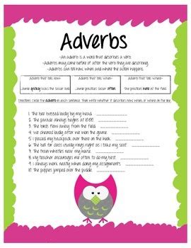 Adverbs Owl Worksheet By Teach With CONFIDENCE TPT