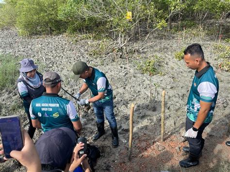 KDEB Waste Management PROGRAM PENANAMAN 500 POKOK BAKAU DI HUTAN