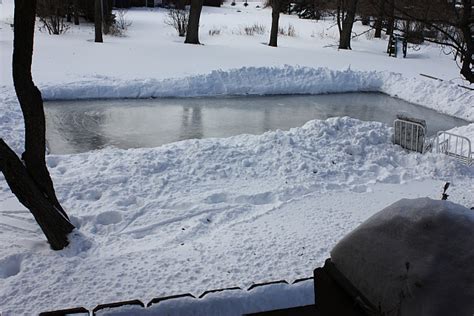 My goals for your first backyard rink are twofold: Mutiny In the Garden: Do Backyard Ice Rinks Kill the Grass ...