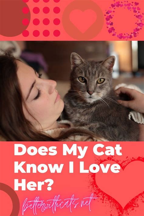 does my cat know i love her answered and explained love her cat questions what is love
