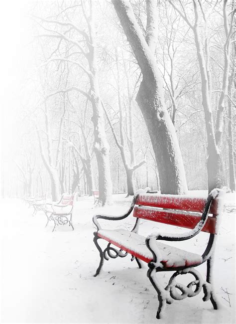 Christmasy Park Bench With Snow All Around Winter