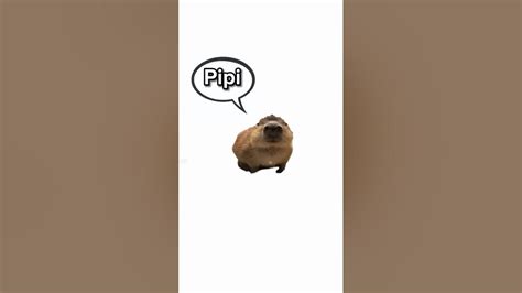 Pipi Und Kaki In Pipikakaland Youtube