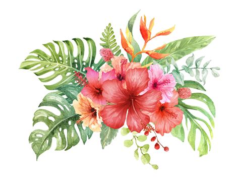 Watercolor Hibiscus Bouquet Elements Vector Art At Vecteezy
