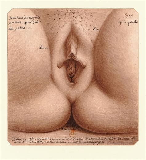Age Of Puberty Vagina Painting By Jean Jacques Lequeu Pixels Merch